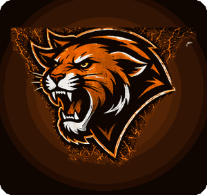 San Lorenzo Valley High School cougar mascot