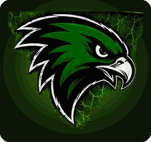 Scotts Valley High School falcon mascot