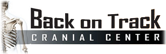 Back on Track logo